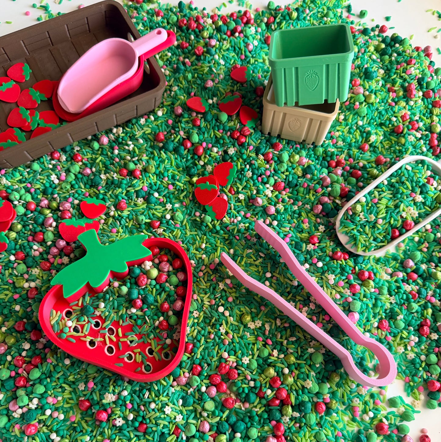 Berry Patch Tool Kits ✨ PRE-ORDER RESTOCK ✨